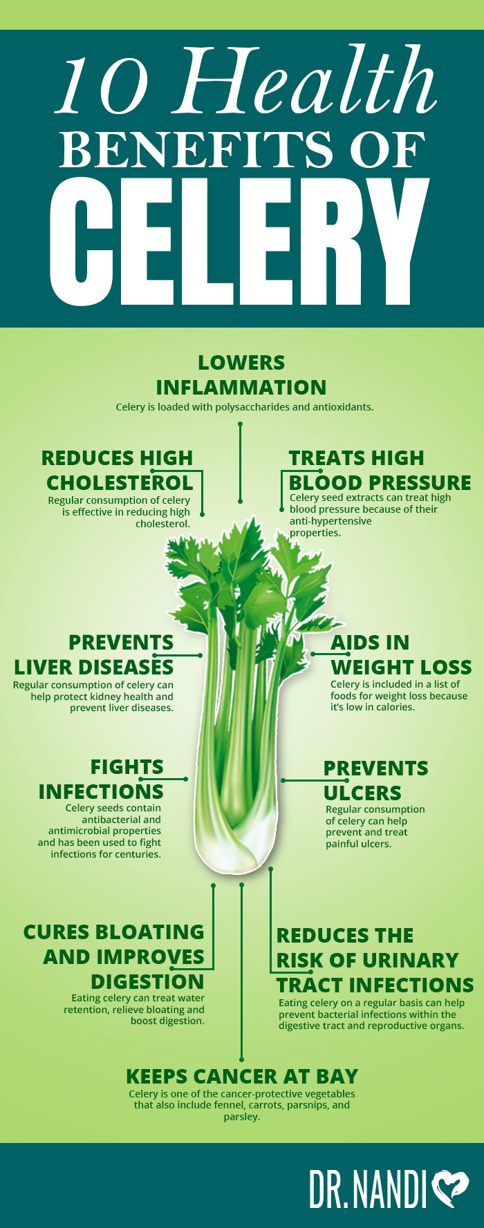 The Nutritional And Medicinal Benefits Of Celery Complete Gardering