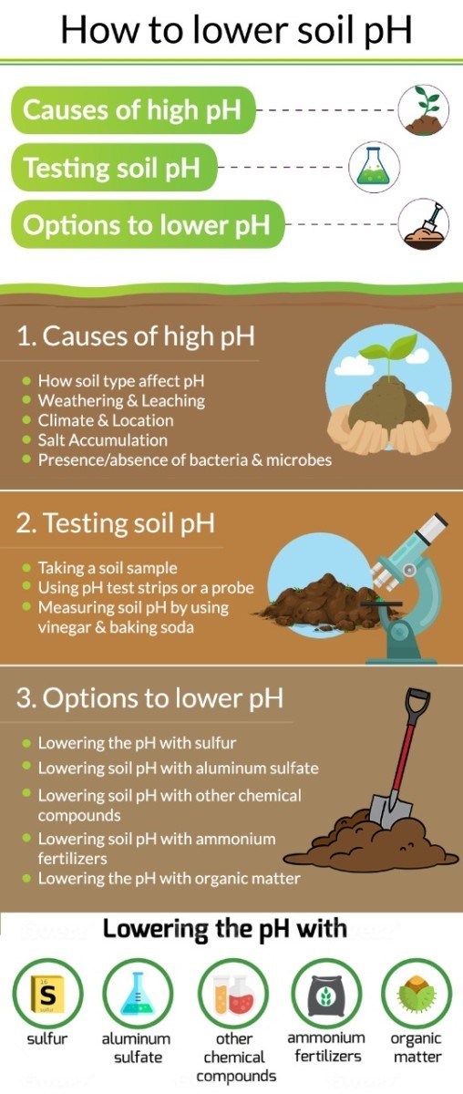 change-soil-ph-adjust-change-raise-or-lower-it-complete-gardering