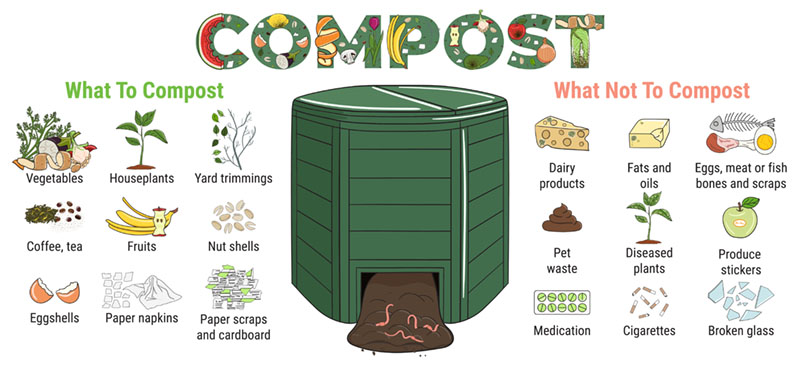 Compost FAQ: Everything You Need To Know - Complete Gardering