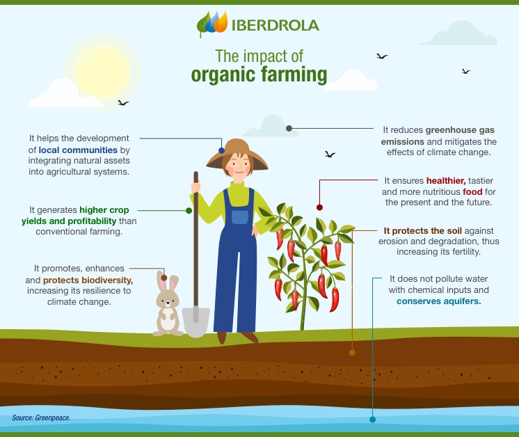 Ecological Techniques Organic Agriculture Benefits Of Organic Food 