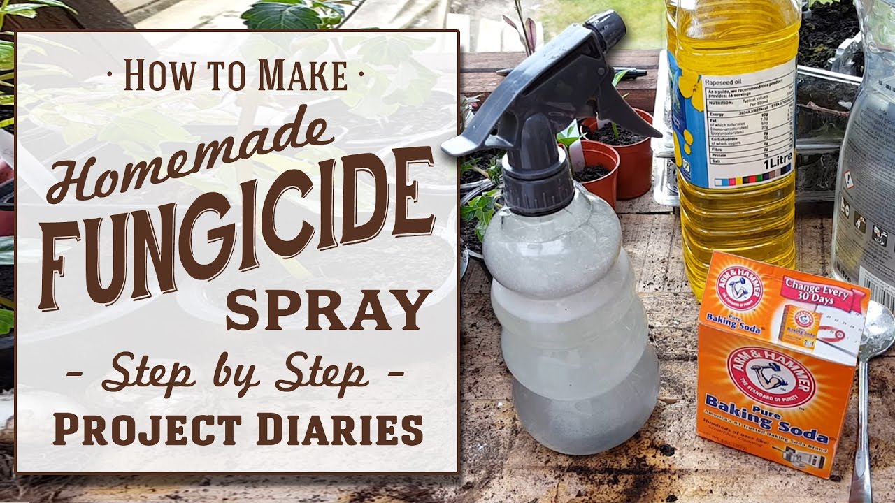 Homemade Fungicide How To Prepare Them And 5 Examples Complete   Homemade Fungicide How To Prepare Them And 5 Examples 