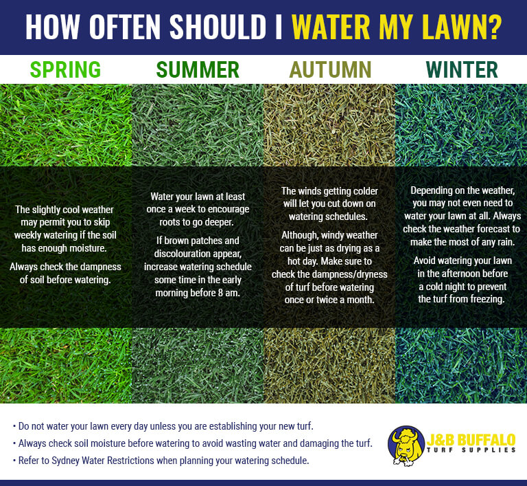 How Often And How To Water My Lawn Complete Gardering   How Often And How To Water My Lawn 