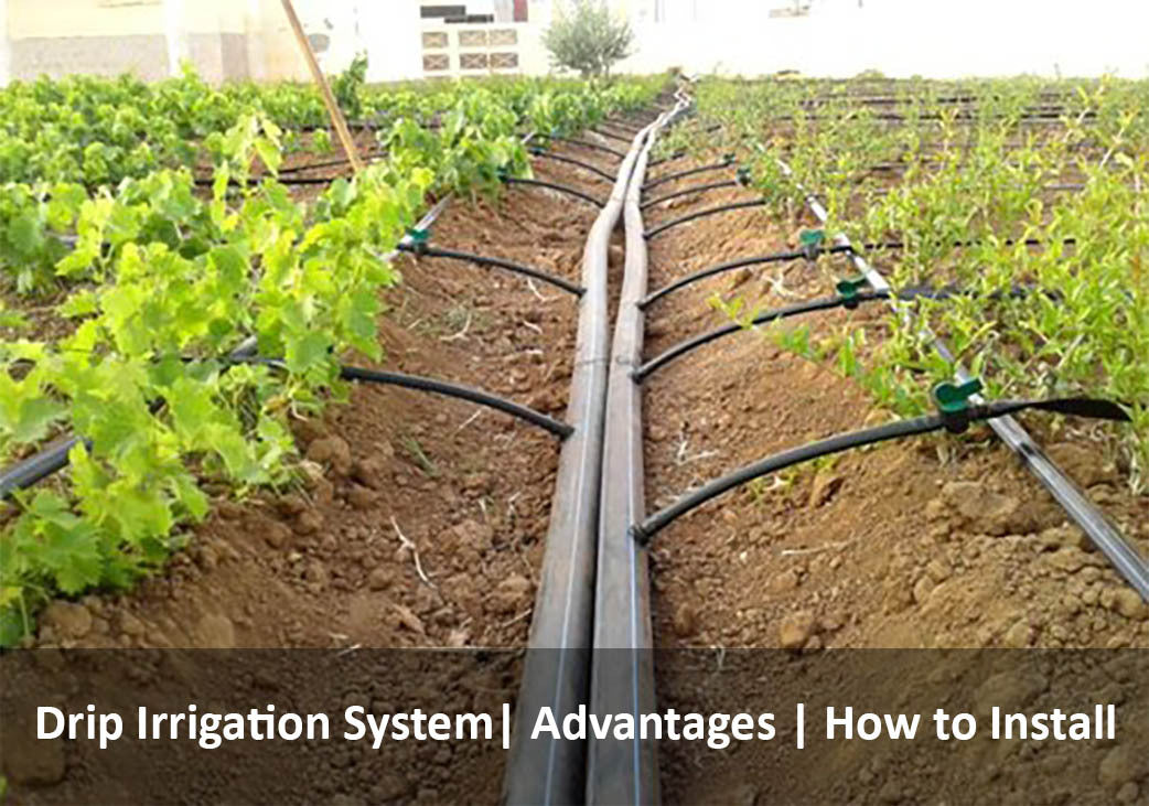 dusk irrigation definition