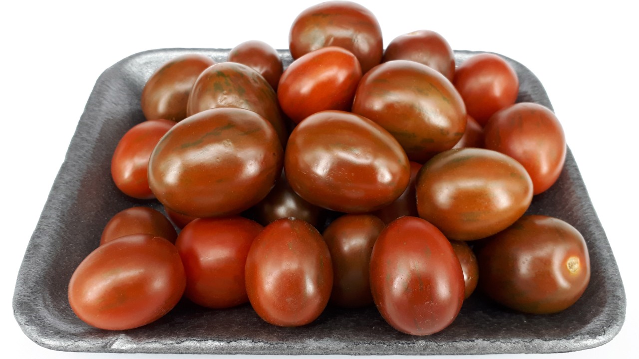 Kumato Tomato [Planting, Care, Irrigation, Substrate and Pests