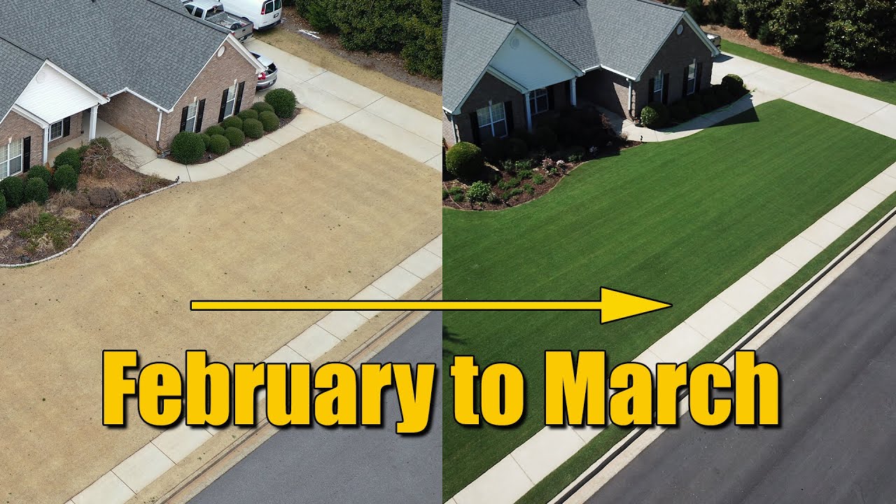 lawn-care-in-february-complete-gardering