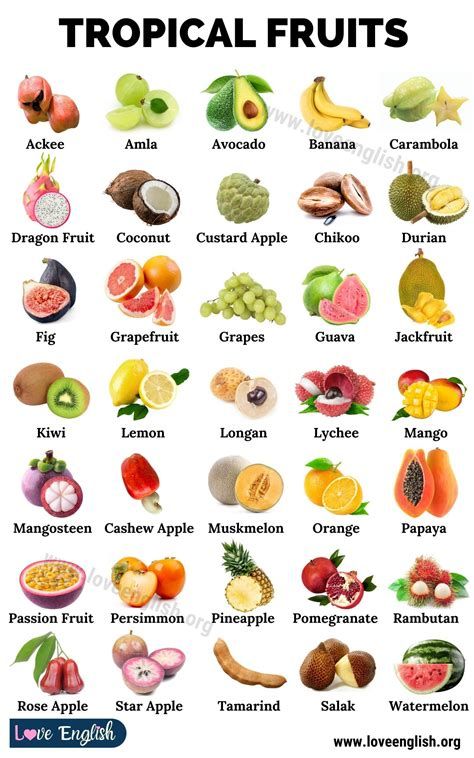 List Of 30 Tropical And Exotic Fruits Images And Characteristics