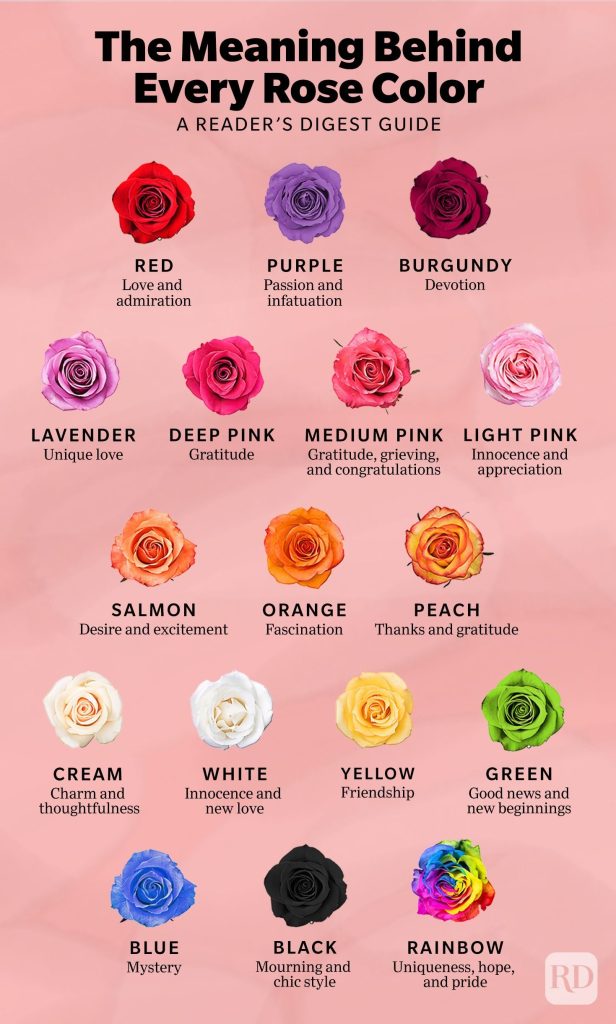 Meaning Of The Color Of Roses What Do You Mean Complete Gardering