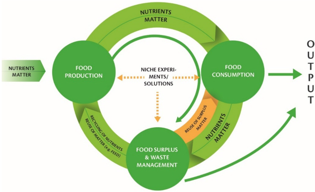 organic-food-and-responsible-consumption-towards-a-greener-economy