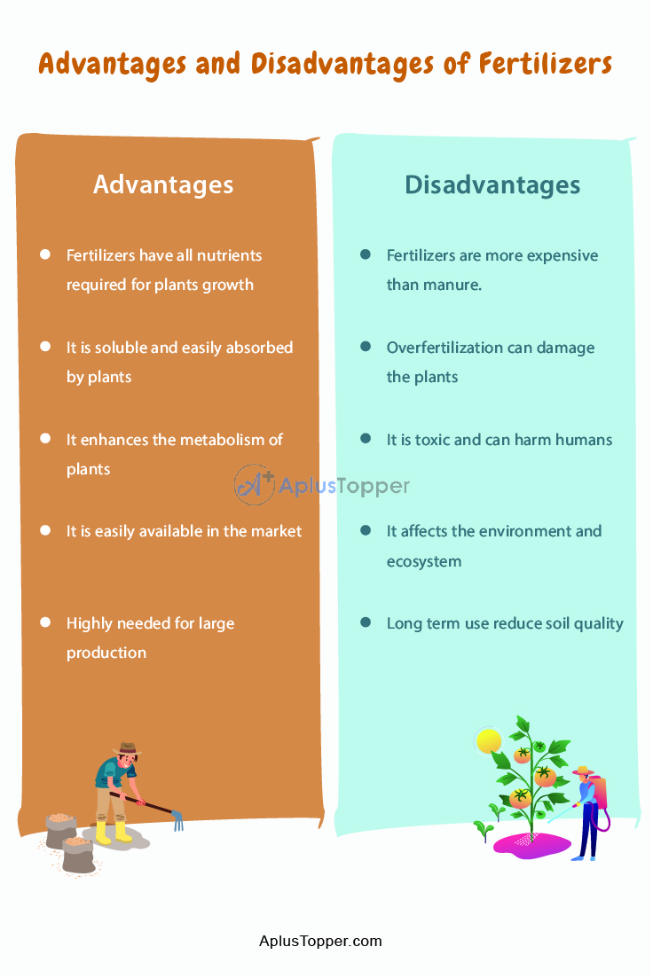 Potassium In The Garden Use Shortcomings Advantages And   Potassium In The Garden Use Shortcomings Advantages And Disadvantages 