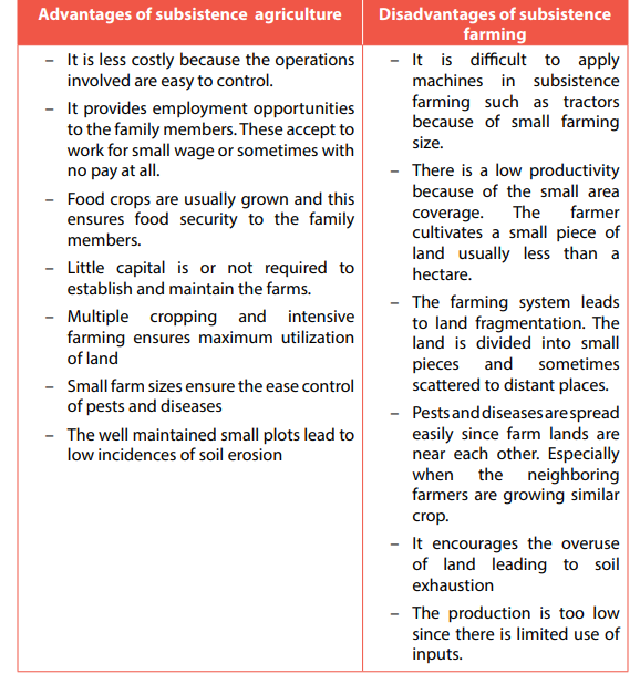 subsistence-agriculture-concept-operation-advantages-and