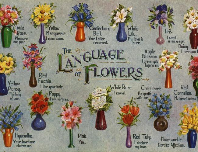 What Flower Symbolizes The Month Of May